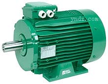 ����TEFV��Ӧ���-LS 3-phase TEFV,��������ɭ��綯��,Leroy-Somer�����綯��ϵ��,����TEFV��Ӧ�綯��,����TEFV��Ӧ�綯��,���ٵ綯��,����TEFV���̸�Ӧ�綯��,����PLSϵ�з�ˮ�綯��,Leroy-Somer����ɭ��ֱ�����ϵ��,�����ֱ���綯��,����ֱ�����,��������ɭ����ٵ綯��ϵ��,���ֵ��,���ٵ��,������,ִ����,Leroy-Somer